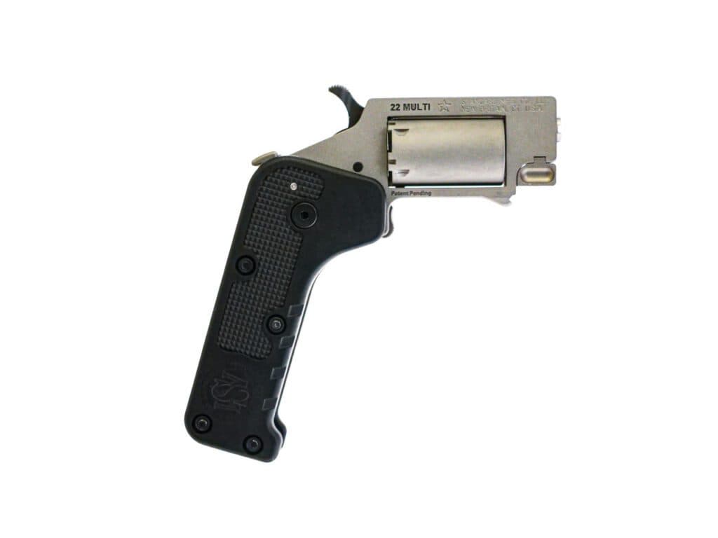 Traveling with a Switch Gun .22